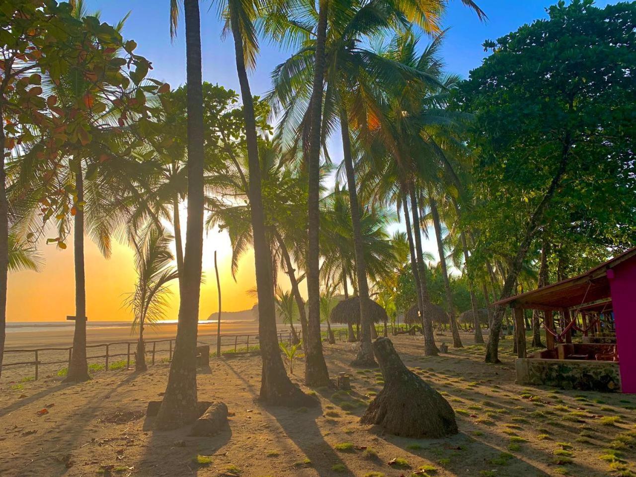 Hotel Oasis & Surf Camp サンタ・カタリナ エクステリア 写真