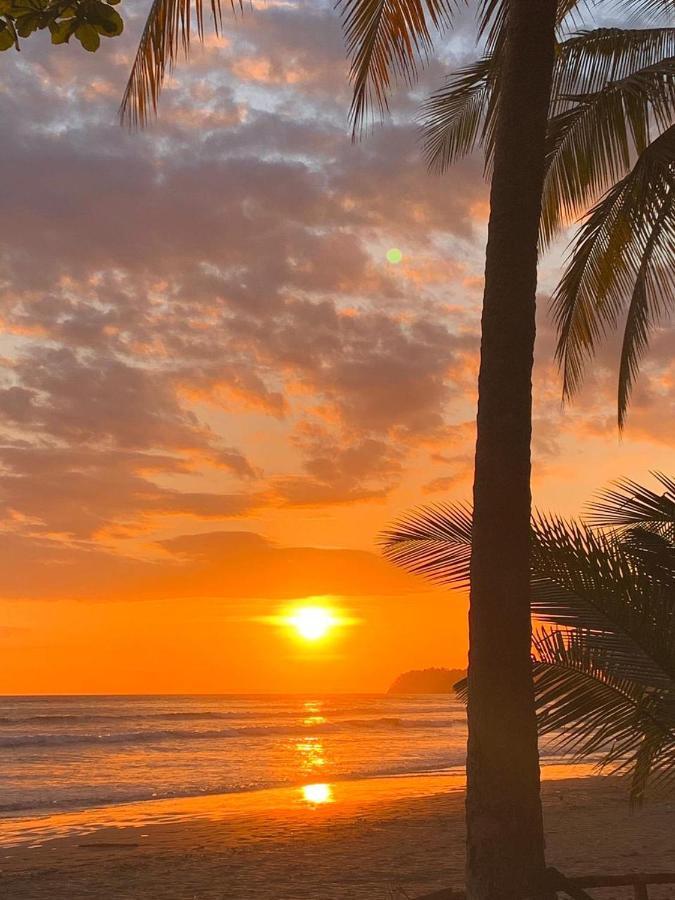 Hotel Oasis & Surf Camp サンタ・カタリナ エクステリア 写真