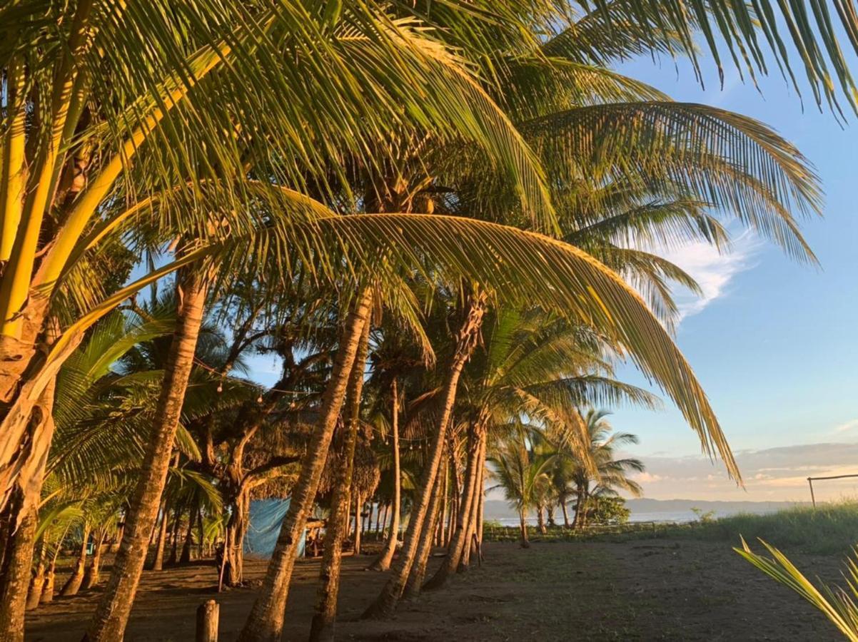 Hotel Oasis & Surf Camp サンタ・カタリナ エクステリア 写真